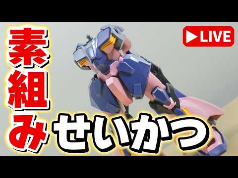 【素組みライブ】HGだけどサイズはMG級！シールの色分けがちょっと残念な「HGUC メッサーF02型（指揮官機）」を組む サムネイル