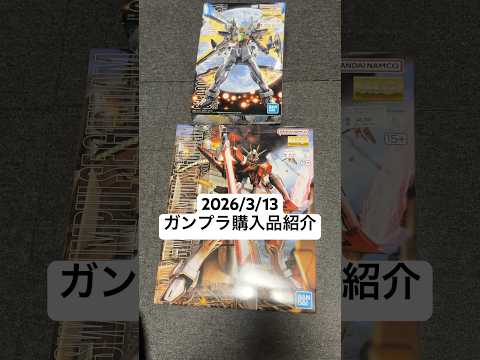 2026/3/13 ガンプラ購入品紹介！MGガンダムダブルエックスにMGソードインパルスガンダム！ gundam gu… サムネイル