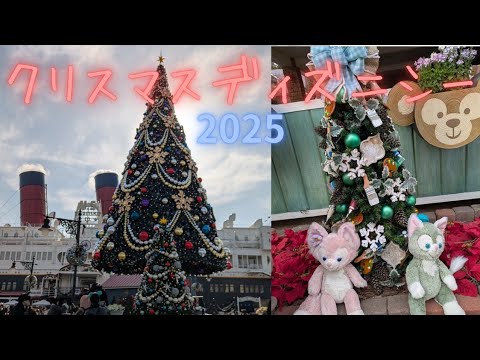 【ディズニーシー】クリスマスディズニーシー🎄初めてのファンタジースプリングス✨【2日目】 サムネイル