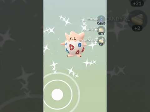 ✨I Hatched THIS SHINY POKEMON In Pokemon Go!✨  shorts pokem… サムネイル