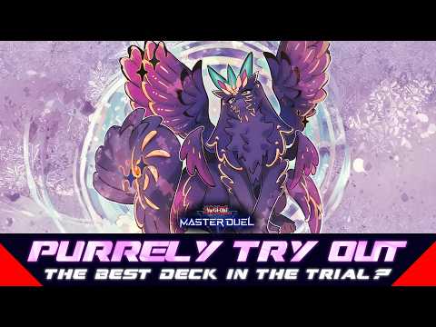 PURRELY - BEST DECK IN THE EVENT?? 🤯  | Yu-Gi-Oh! Master Du… サムネイル