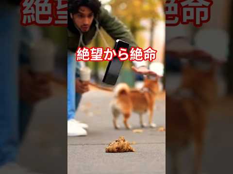 絶望から絶命　スマホを落としただけなのに衝撃 サムネイル