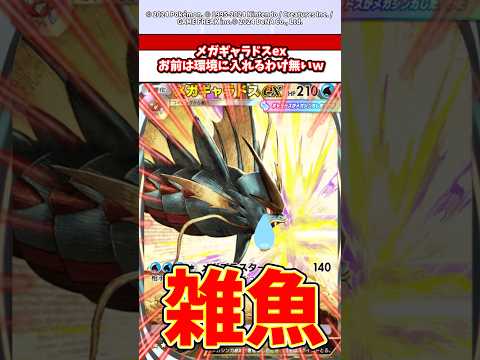 メガギャラドスこいつ弱すぎんw  ポケモン  ポケポケ  ポケカ サムネイル