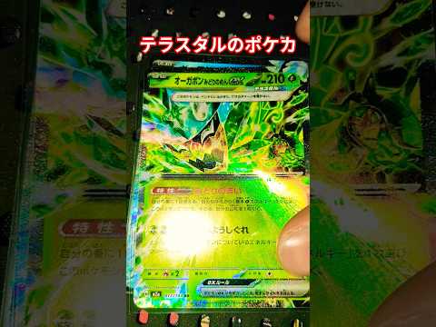テラスタルのポケカ ポケカ ポケカ再販最新情報 ポケモンカード チャンネル登録お願いします ポケモン おれポケ ポケモ… サムネイル