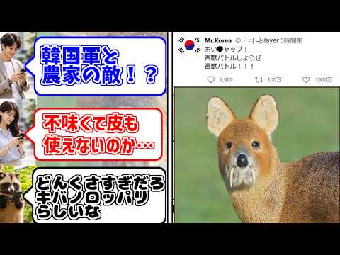 キバノロをとことん楽しむソムリエ達の反応集【害獣】【コラニ】【ゴラニ】【고라니】【絶滅危惧種】【韓国のマスコット】 サムネイル