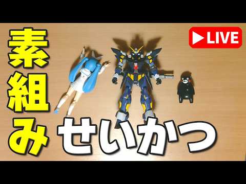 【素組みライブ】今日で完成？バックパックと武器つくります！「HG ヒュッケバインMk-II」 サムネイル