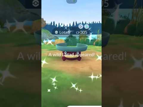 ✨Catching 2 SHINY Pokemon in Pokemon Go Every Day For a YEA… サムネイル