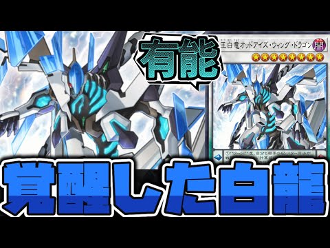 【遊戯王】 微妙評価から奇跡の高騰を果たした最終回龍 『覇王白竜オッドアイズ・ウィング・ドラゴン』 【ゆっくり解説】 サムネイル