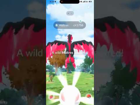 I Tried To Use a POKEBALL On A Galarian Bird And THIS Is Ho… サムネイル