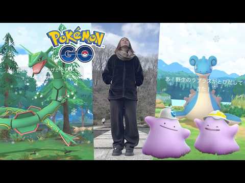 野生で伝説りん散歩。【ポケモンGO】 サムネイル