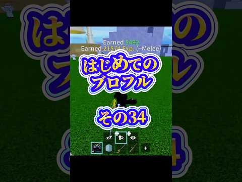 【空島】robloxfriends roblox bloxfurit bloxfruits ロブロックス ブロフル ブ… サムネイル