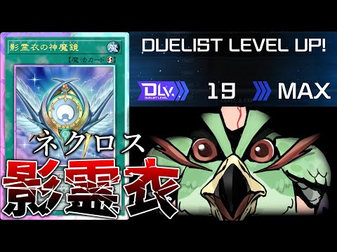 【DLv.20到達】あの「影霊衣(ネクロス)」の真の力をお見せします。【遊戯王マスターデュエル/ずんだもん】 サムネイル