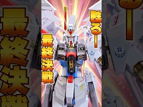 激闘で傷ついた姿を徹底再現！【METAL ROBOT魂 マイティーストライクフリーダムガンダム 最終決戦 Ver.】ミ… サムネイル