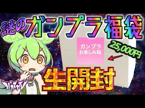 【ガンプラ福袋】謎のショップで売ってたちょっと遅めのガンプラ福袋(25,000円)を生開封！！【雑談】 サムネイル