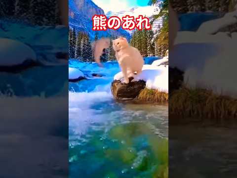 猫猫猫猫熊#猫#熊#鮭 サムネイル