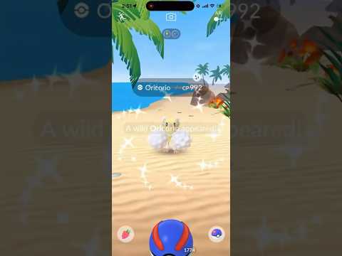 ✨I ALMOST Got a SHUNDO Oricorio In Pokemon Go… So Close!✨sh… サムネイル