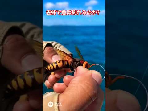 雀蜂で魚は釣れるのか？魚釣りフィッシング 実験shorts サムネイル