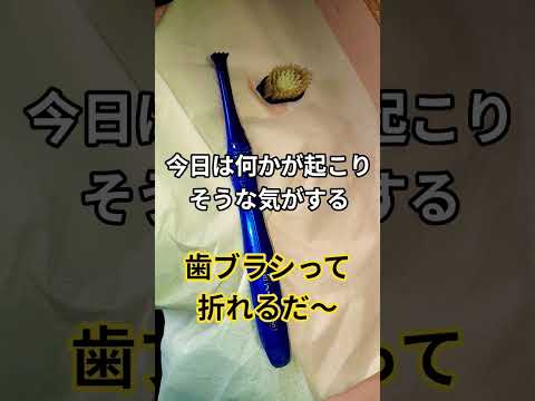 3月12日歯ブラシは折れる サムネイル