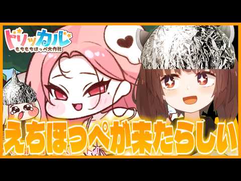 【ｴﾁｯｶﾙ】えちほっぺがやってきたぞっ　引いたほうがいいか！【トリッカル・もちもちほっペ大作戦 】【VOICEROI… サムネイル