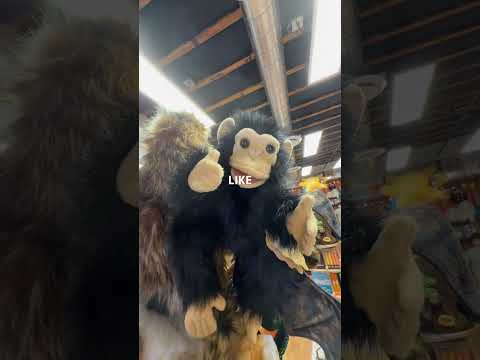 THIS WALMART EMPLOYEE IS SAVING ALL OF THE POKEMON CARDS FO… サムネイル