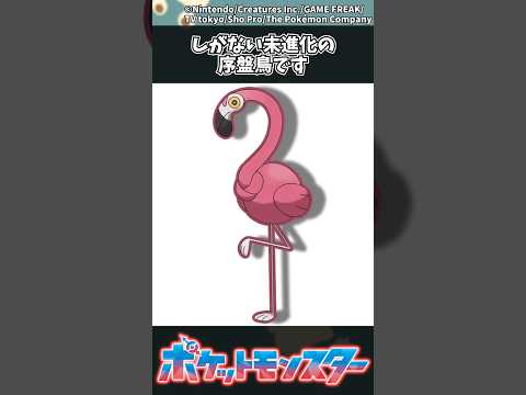 【ポケモン】しがない未進化の序盤鳥です ポケモン 反応集 サムネイル