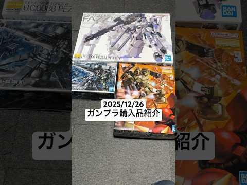 2025/12/26 ガンプラ購入品紹介！MGFAZZにHGサンダーボルトザクⅡ＋ビック・ガンセット、MGフルアーマー… サムネイル