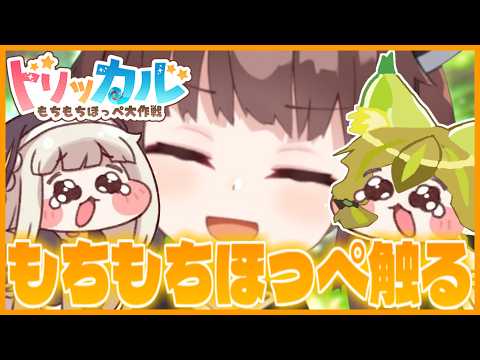 【4日目】明日から収監予定なので、今日はもちもちほっぺで癒されよう！【トリッカル・もちもちほっペ大作戦 】【VOICE… サムネイル