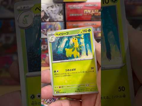 pokemon ポケモンカード　パック開封　メガシンフォニア　pokemon ポケモンカード25周年 ポケカ ポケモン… サムネイル
