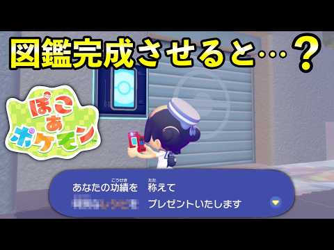 【ぽこあポケモン】図鑑完成の報酬まとめ！隠し部屋の解放条件【環境レベル10全街コンプ】 サムネイル