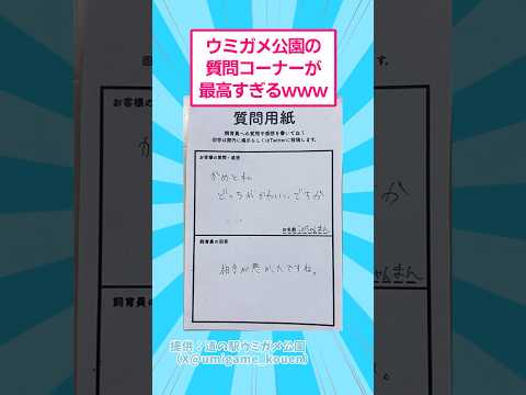 ウミガメ公園の質問コーナーが最高すぎるwww おもしろ 動物 サムネイル