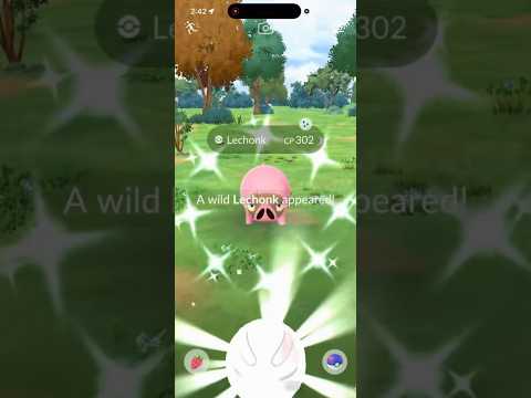 ✨BACK TO BACK SHINY Lechonk With the SAME CP CAUGHT In Poke… サムネイル