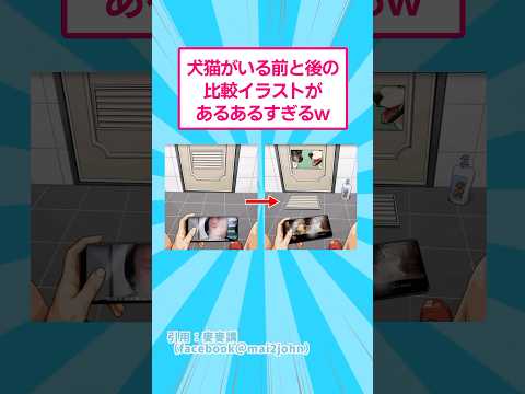 犬猫がいる前と後の比較イラストがあるあるすぎるw おもしろ 動物 サムネイル
