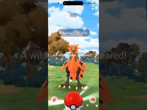 I Found a Galarian Zapdos in Pokemon Go After Doing THIS! s… サムネイル