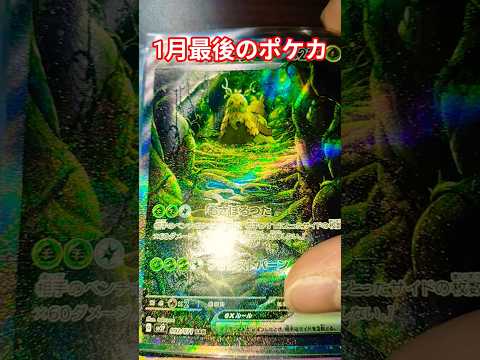 1月最後のポケカ ポケモンカード ポケモンカード ポケカ再販最新情報 ポケカ チャンネル登録お願いします ポケモン p…