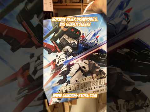 Norway never disappoints. Big Gunpla order! gundam gunpla b…