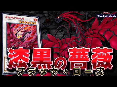 【ブラロ超強化!!】相手ターンブラックローズで全ブッパ!!『ローズドラゴン』【遊戯王マスターデュエル】【Yu-Gi-O… サムネイル