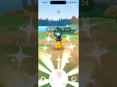 ✨Shiny Costume Pikachu CAUGHT In Pokemon Go!✨ shorts pokemon サムネイル