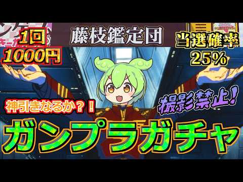 【ガンプラガチャ】撮影禁止のガチャに挑戦！久しぶりに爆アドとなるのか？！【藤枝鑑定団】 サムネイル