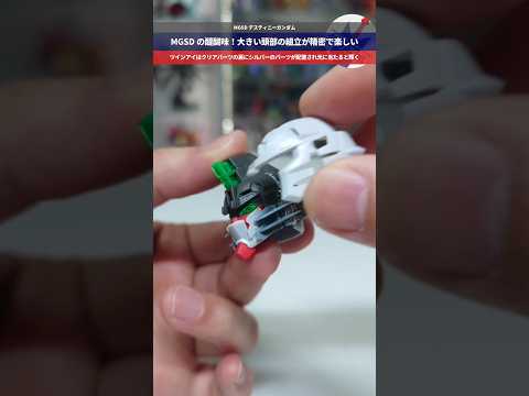 【ガンプラ】精密でボリューム満点！頭部が大きいMGSDだからこそ楽しめる！MGSD デスティニーガンダム gundam… サムネイル