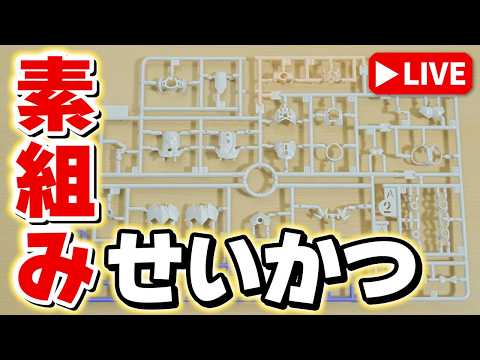 【素組みライブ】このプラモは…にゃんだろう？(。´･ω･)? サムネイル