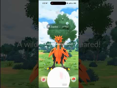 I Saw a Galarian Zapdos On Stream AND… shorts pokemon サムネイル