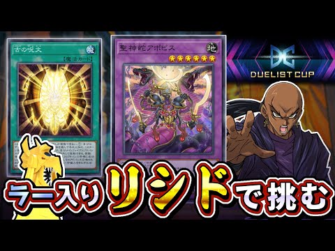 神入りリシドでDCに挑むぜ Dlv17~【遊戯王マスターデュエル】 サムネイル
