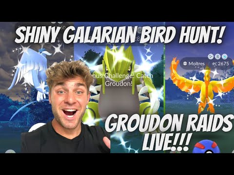 ✨Shiny Galarian Bird Hunt and Groudon Raids LIVE In Pokemon… サムネイル