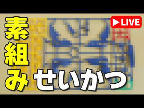 【素組みライブ】ガンプラ、なのか？今回のHGは？「HG ************」 サムネイル