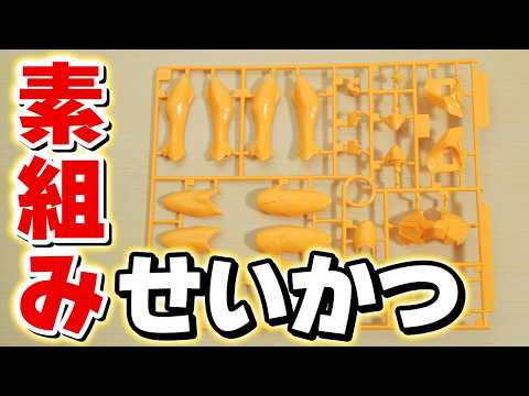 【素組みライブ】あなたは積まないわ。私が作るもの。【素組みせいかつ】 サムネイル