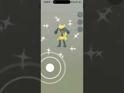 ✨I Hatched 2 SHINY RIOLU in Pokemon Go!✨ shorts pokemon サムネイル