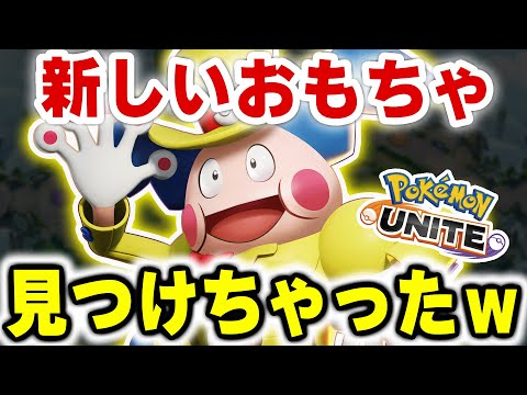 今環境、最高のおもちゃ見つけました。