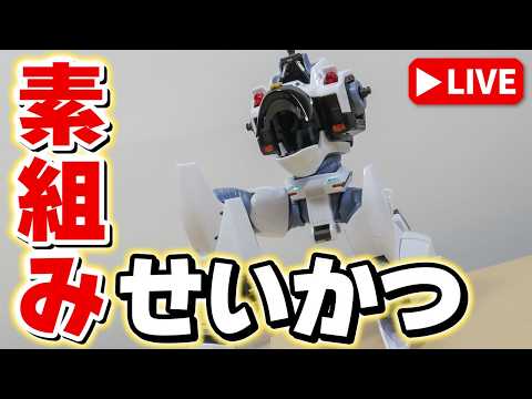 【素組みライブ】極小クリアパーツに負けるな！精密さが面白い「RG 1/48 AV-98Plus（イングラム・プラス）」… サムネイル