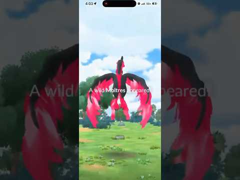 Galarian Moltres Encounter In Pokemon Go But… shorts pokemon サムネイル