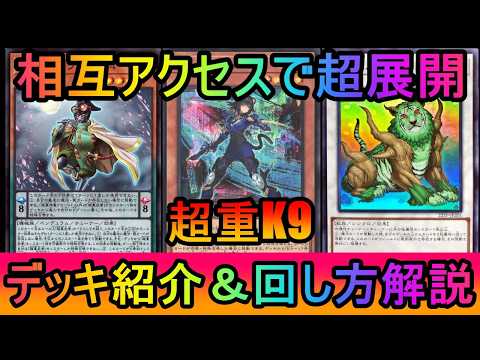 【超絶盤面】K9と超重武者の相互アクセスで1枚初動からアルティメット制圧！K9超重武者デッキ紹介【遊戯王マスターデュエ… サムネイル